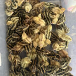 quail-chicks-price-per-bird